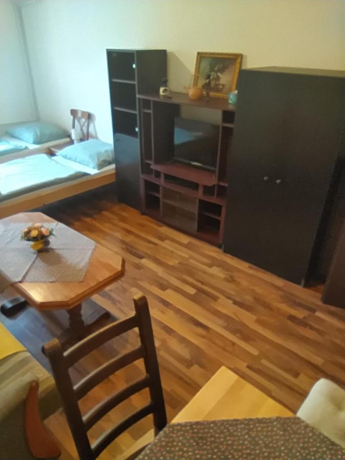 Turisticky Apartman ,Pro 3-4Os Apartment Frenštát pod Radhoštěm Екстериор снимка